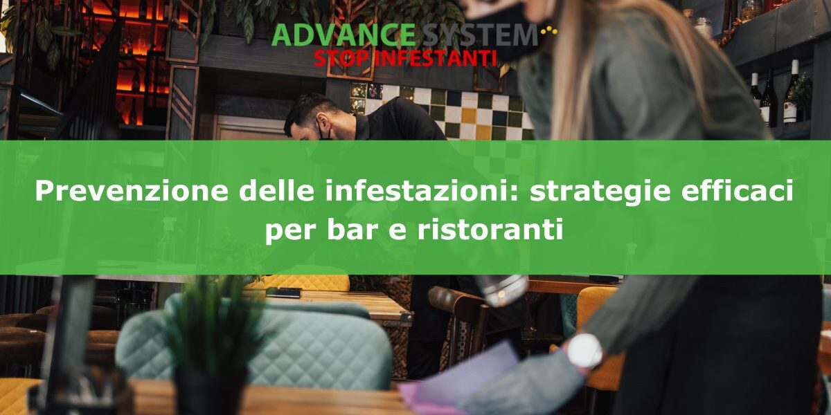 Prevenzione delle infestazioni: strategie efficaci per bar e ristoranti
