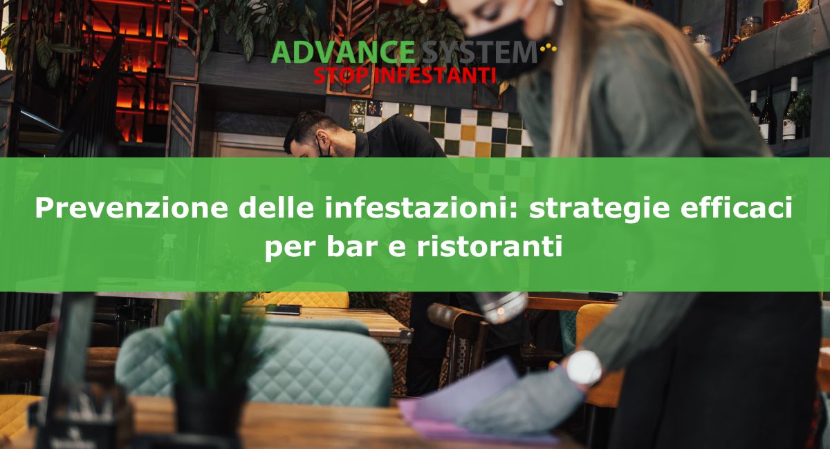 Prevenzione delle infestazioni: strategie efficaci per bar e ristoranti
