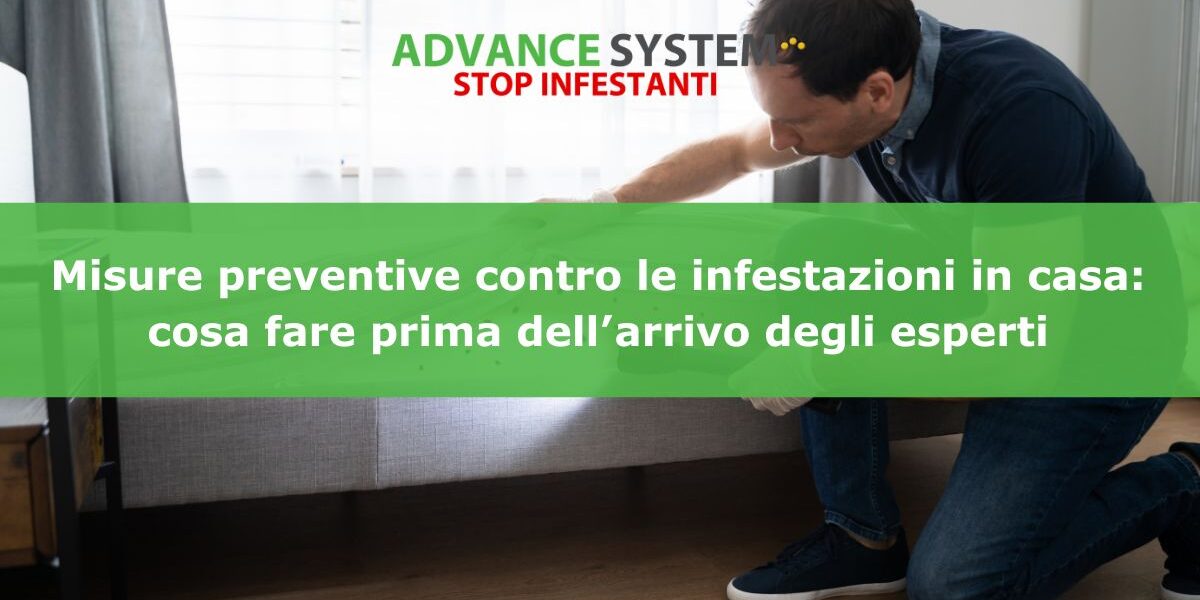 Misure preventive contro le infestazioni in casa: cosa fare prima dell’arrivo degli esperti