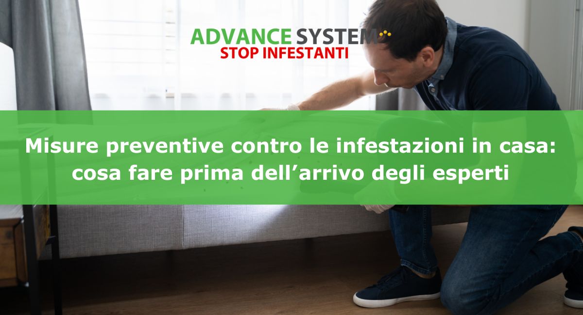 Misure preventive contro le infestazioni in casa: cosa fare prima dell’arrivo degli esperti