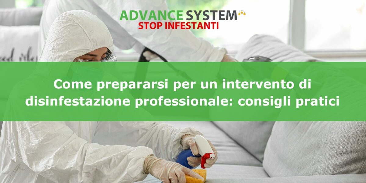 Come prepararsi per un intervento di disinfestazione professionale: consigli pratici