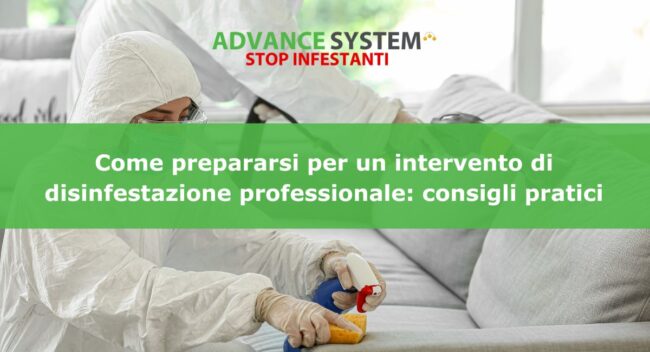 Come prepararsi per un intervento di disinfestazione professionale: consigli pratici